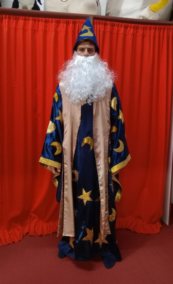 Disfraz de Mago Hombre