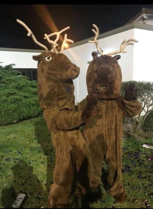 Disfraz de Renos Navideños