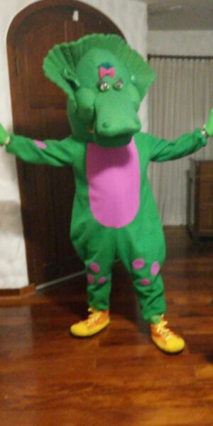 Disfraz de Baby Bop - Barney y sus amigos