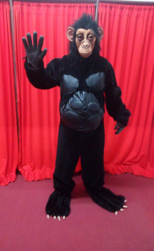 Disfraz de Mono