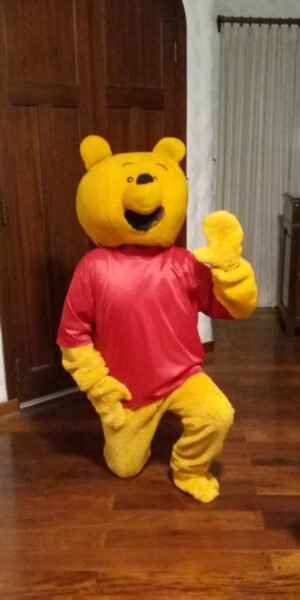 Disfraz de Winnie Pooh
