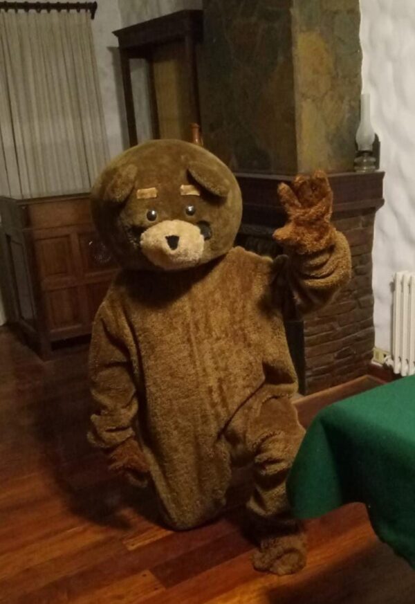 Disfraz de Oso Ted