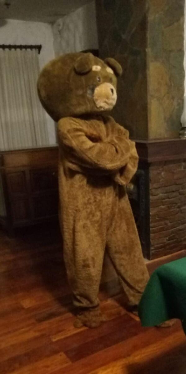 Disfraz de Oso Ted