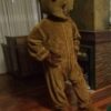 Disfraz de Oso