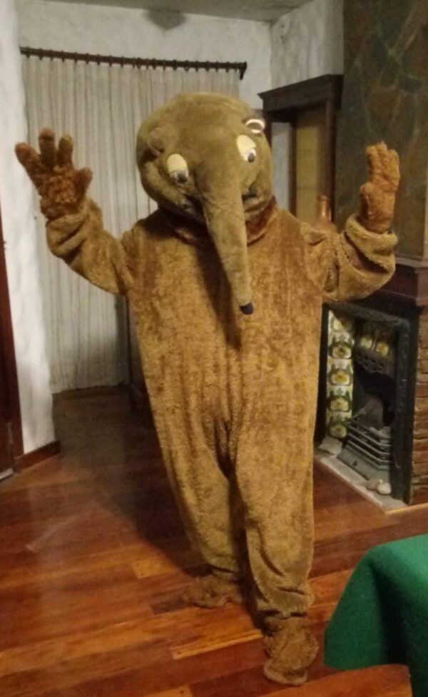Disfraz de Oso hormiguero