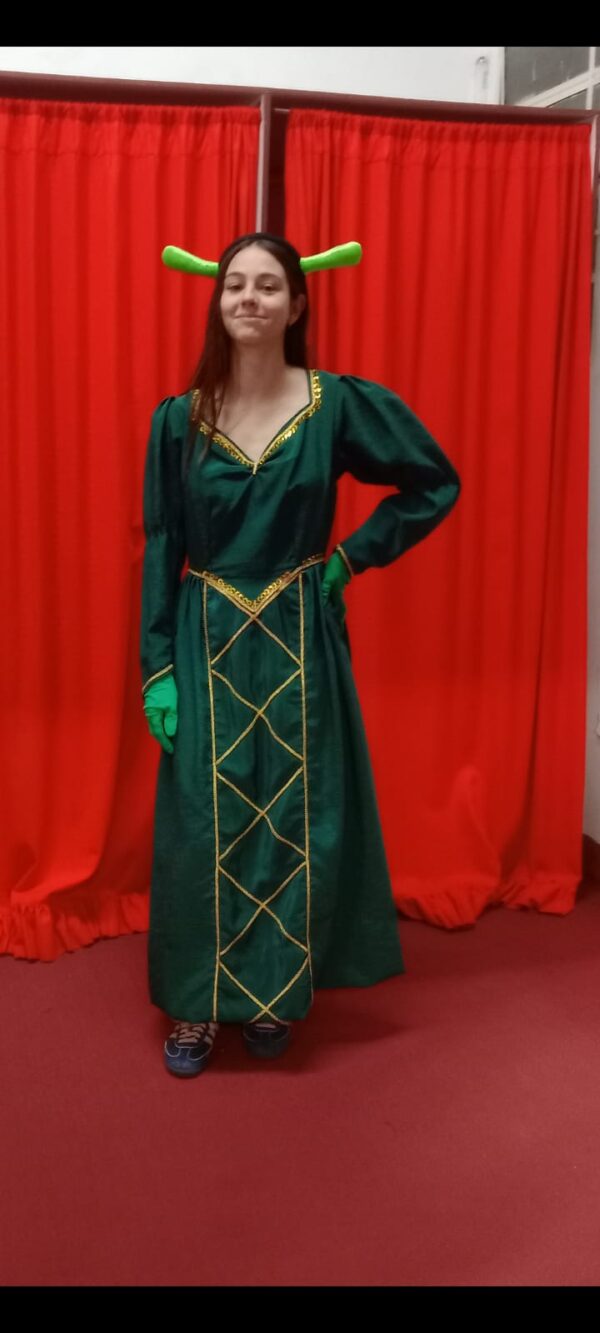 Disfraz de Fiona Shrek