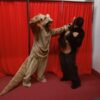 Pareja Mono y Canguro