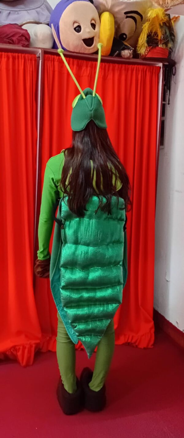 Disfraz de Grillo Unisex